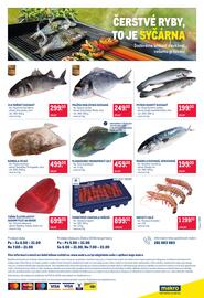 Makro leták Strana 24