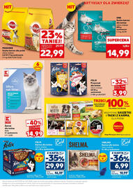 Kaufland gazetka Strona 23