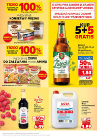 Kaufland gazetka Strona 3