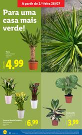 Folheto Lidl semana 31 Página 24