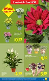 Folheto Lidl semana 31 Página 25