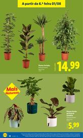 Folheto Lidl semana 31 Página 26