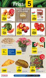 Tesco akciós újság hét 31 Oldal 2