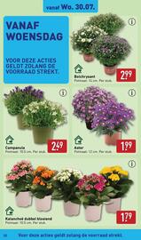 ALDI folder week 31 Pagina 32