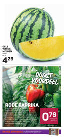 Ekoplaza folder week 31 Pagina 13