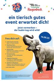 Budni Prospekt woche 32 Seite 9