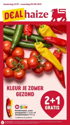Delhaize folder