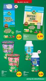 PENNY Prospekt woche 31 Seite 11