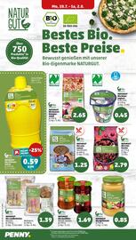 PENNY Prospekt woche 31 Seite 12