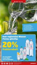 PENNY Prospekt woche 31 Seite 17