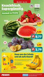 PENNY Prospekt woche 31 Seite 2