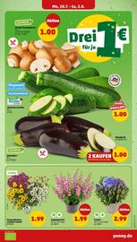PENNY Prospekt woche 31 Seite 3