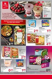Selgros Prospekt woche 31 Seite 8