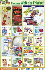 inkoop Prospekt woche 31 Seite 2