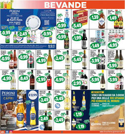 Volantino Il Castoro Supermercati Pagina 17