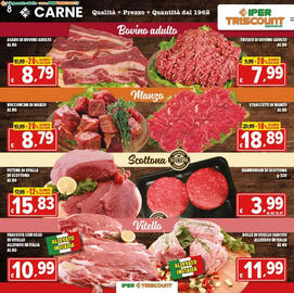 Volantino Iper Triscount Pagina 8