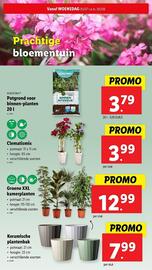 Lidl folder week 31 Pagina 26