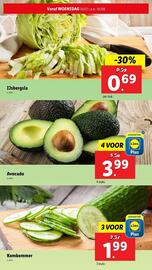 Lidl folder week 31 Pagina 4
