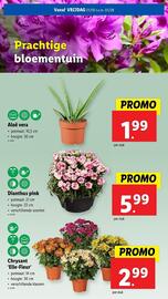 Lidl folder week 31 Pagina 54