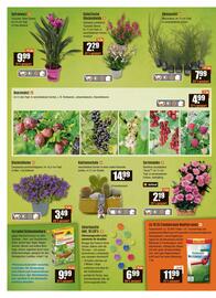 V Baumarkt Prospekt woche 31 Seite 2