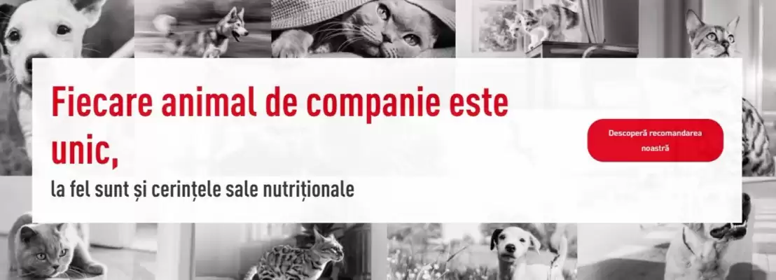 Сatalog Royal Canin (valid până la 18-08)