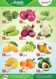 Shaklan catalogue Page 2
