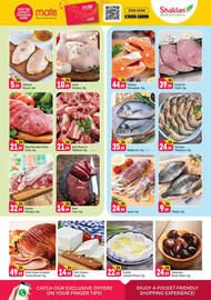 Shaklan catalogue Page 3