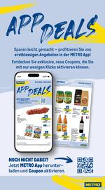 METRO Prospekt woche 31 Seite 21