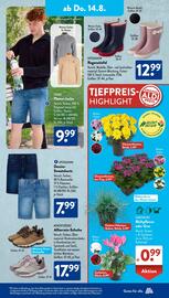 Aldi Süd Prospekt woche 33 Seite 13