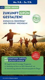 Aldi Süd Prospekt woche 33 Seite 31