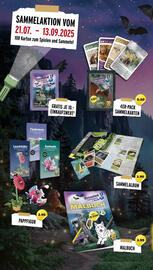 NETTO Prospekt woche 32 Seite 15