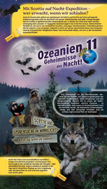 NETTO Prospekt woche 32 Seite 16