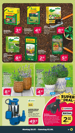 NETTO Prospekt woche 32 Seite 19
