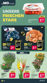 NETTO Prospekt woche 32 Seite 2