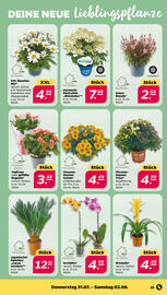 NETTO Prospekt woche 32 Seite 27
