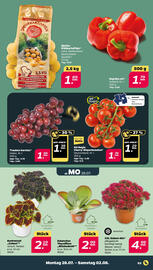 NETTO Prospekt woche 32 Seite 3
