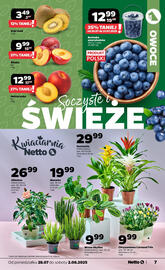 Netto gazetka tydzień 31 Strona 7