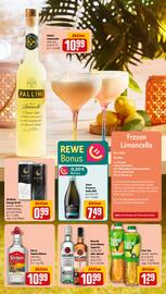 REWE tilbudsavis uge 31 Side 17