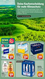 REWE tilbudsavis uge 31 Side 27