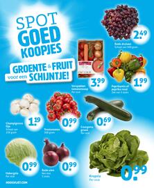 Hoogvliet folder week 31 Pagina 9