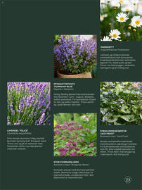 Plantasjen Kundeavis Side 23