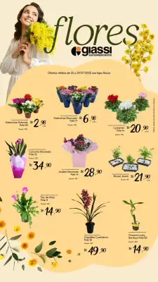 Catálogo Giassi Supermercados (válido até 31-07)