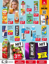 Selgros gazetka Strona 21