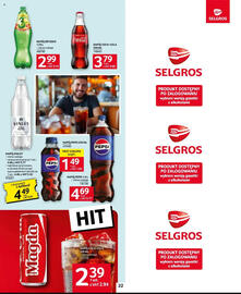 Selgros gazetka Strona 22