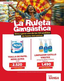 Catálogo Super Ganga Página 5