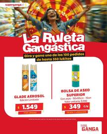 Catálogo Super Ganga Página 6