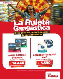 Catálogo Super Ganga Página 7