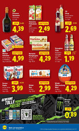 Lidl Flugblatt woche 31 Seite 10