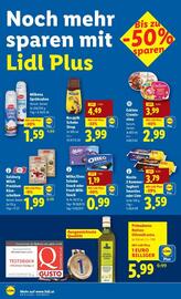 Lidl Flugblatt woche 31 Seite 13