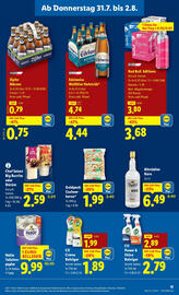 Lidl Flugblatt woche 31 Seite 13